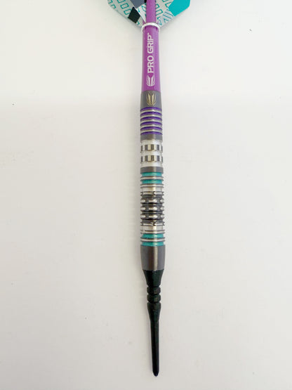 Target ALX 11 20 grams Soft Tip Darts